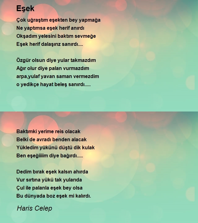 Haris Celep