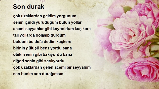 Ali Bağcı