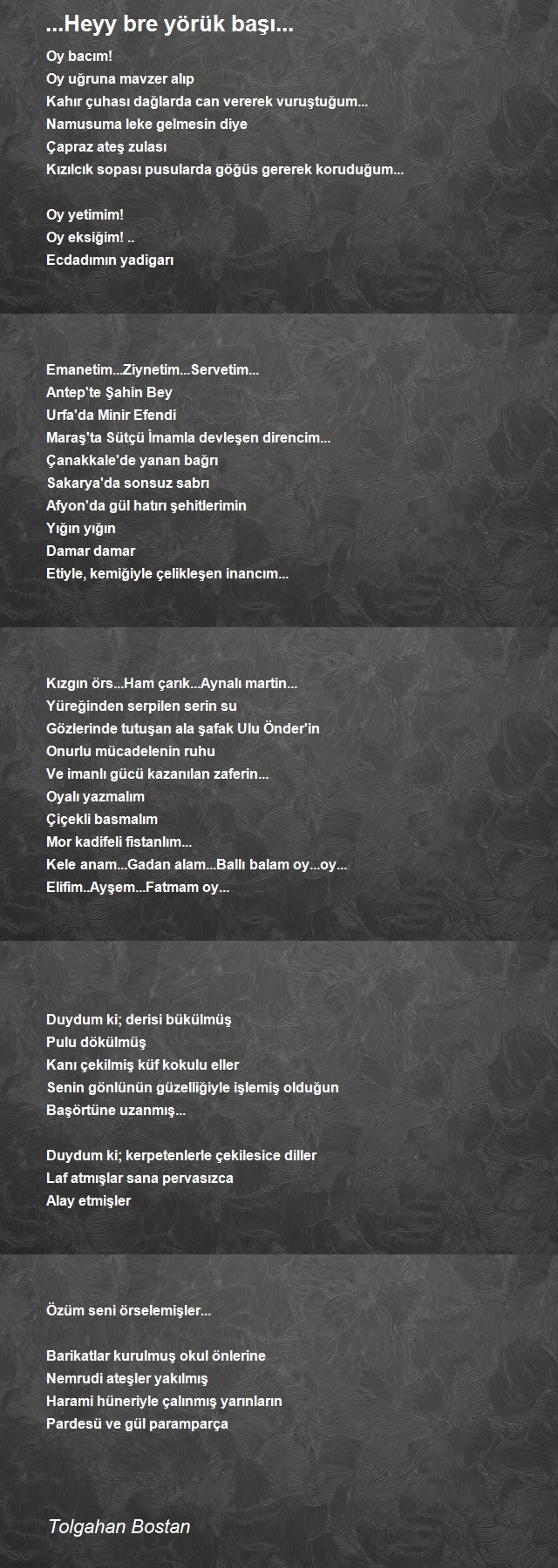 Tolgahan Bostan