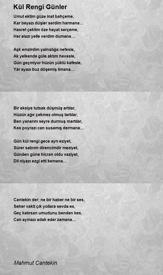 Mahmut Cantekin