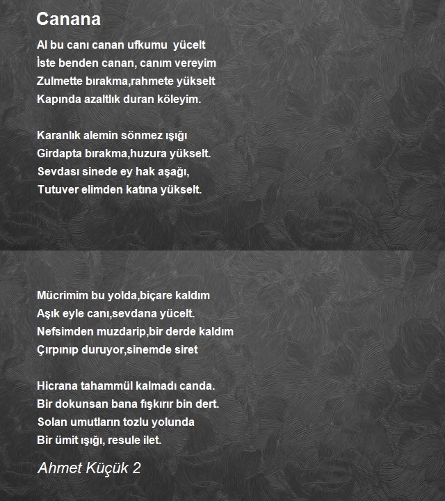 Ahmet Küçük 2