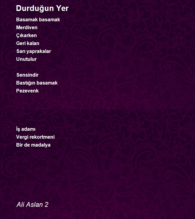 Ali Aslan 2