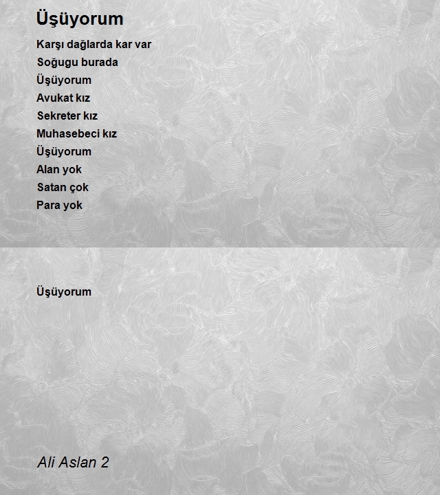 Ali Aslan 2