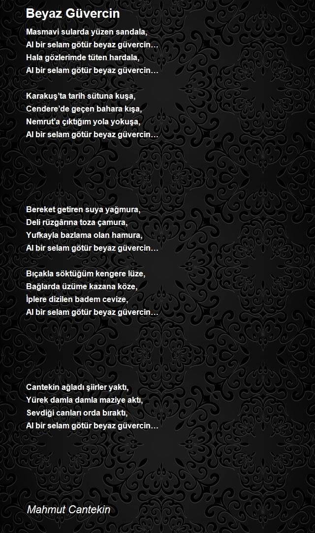 Mahmut Cantekin