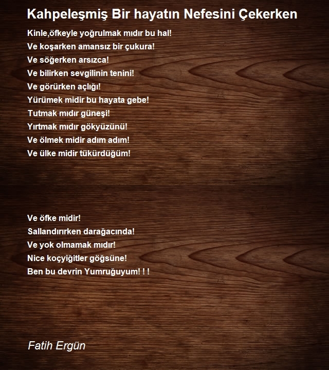 Fatih Ergün