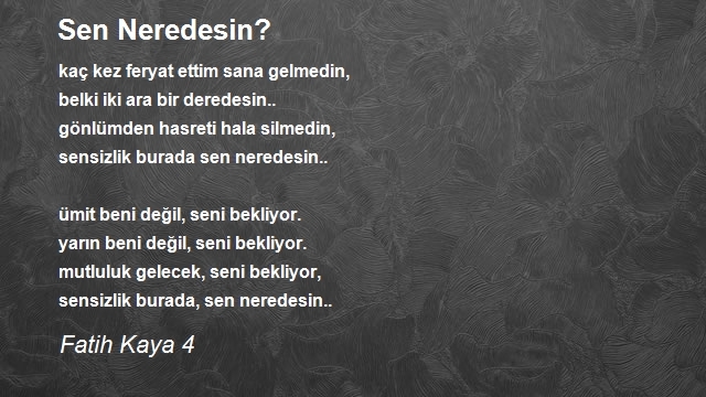 Fatih Kaya 4