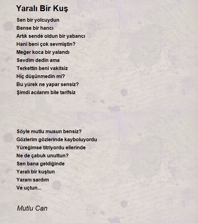 Mutlu Can