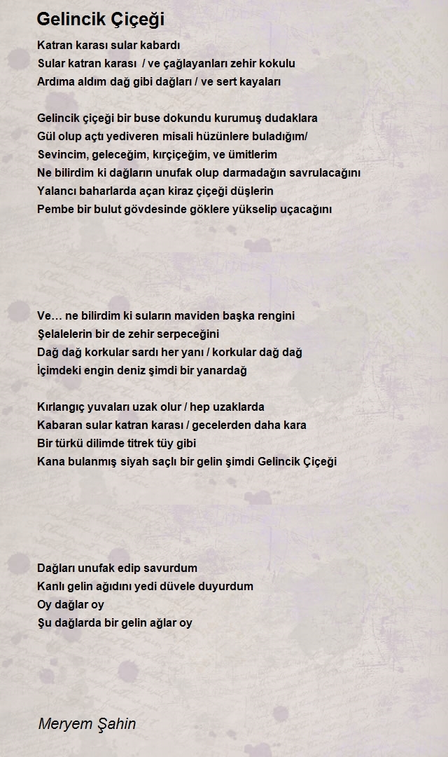 Meryem Şahin