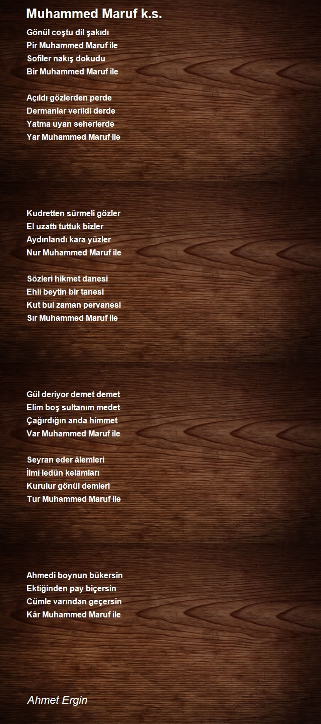 Ahmet Ergin