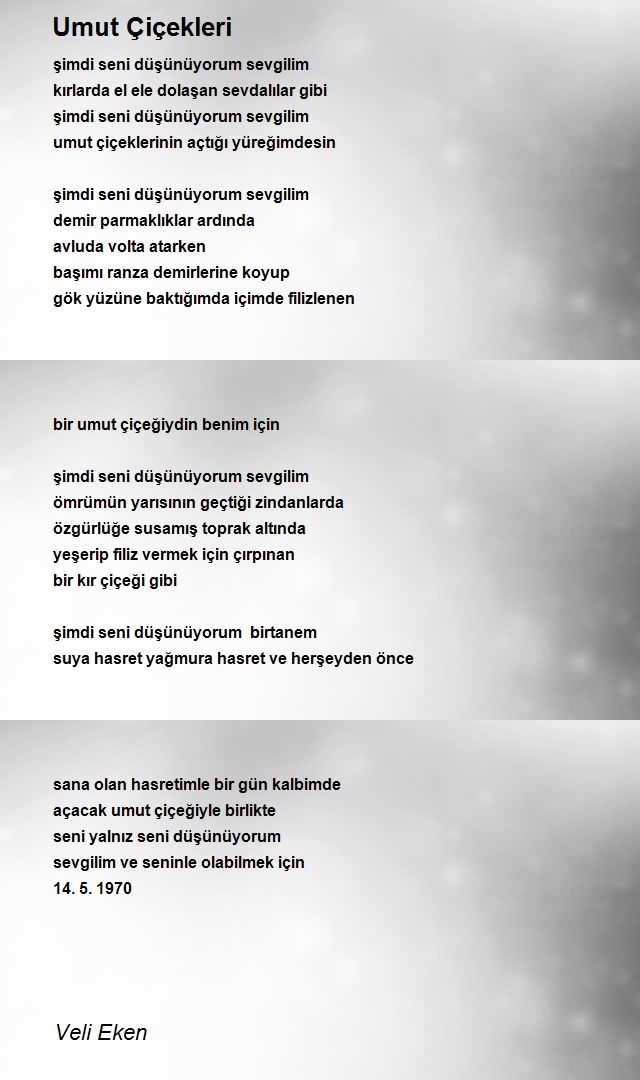 Veli Eken