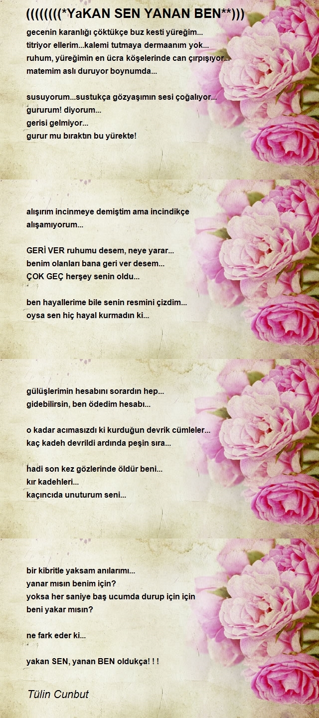 Tülin Cunbut