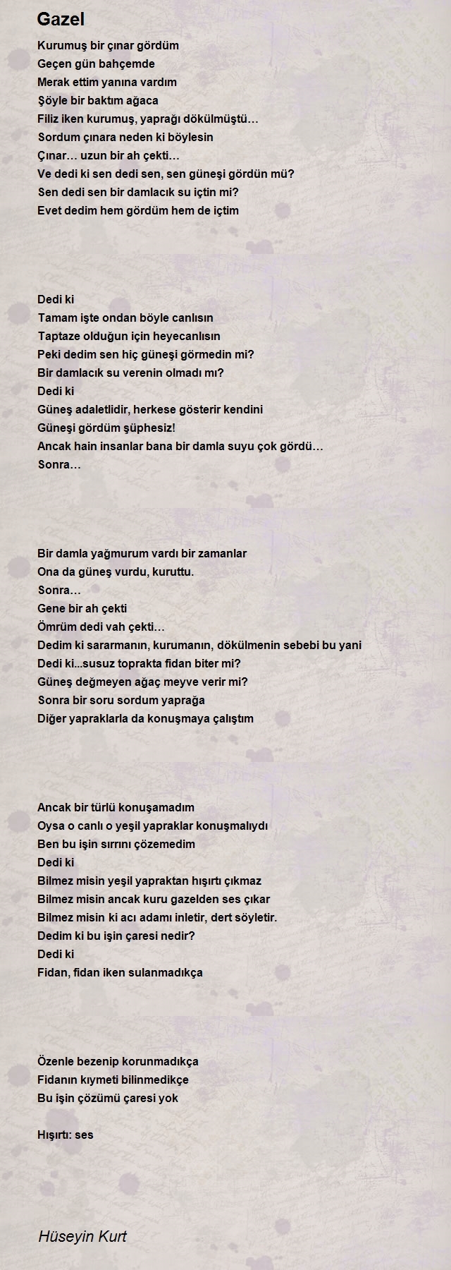 Hüseyin Kurt