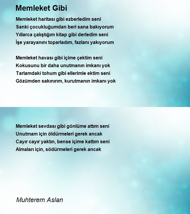Muhterem Aslan