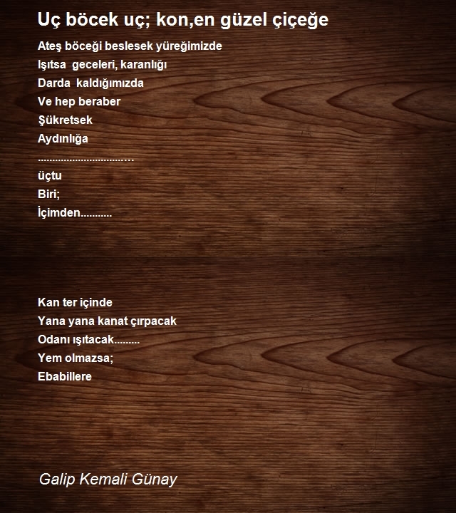 Galip Kemali Günay