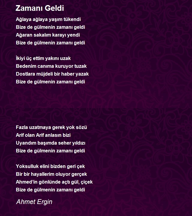 Ahmet Ergin