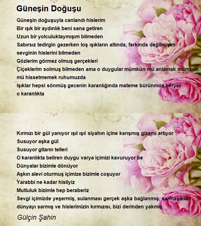 Gülçin Şahin
