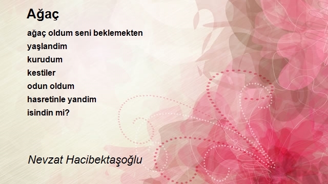 Nevzat Hacibektaşoğlu