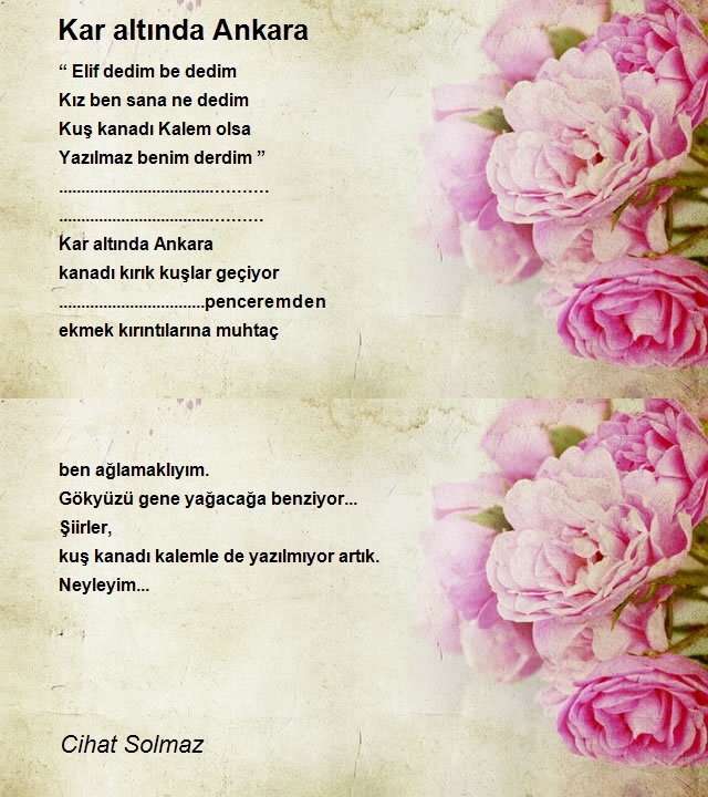 Cihat Solmaz