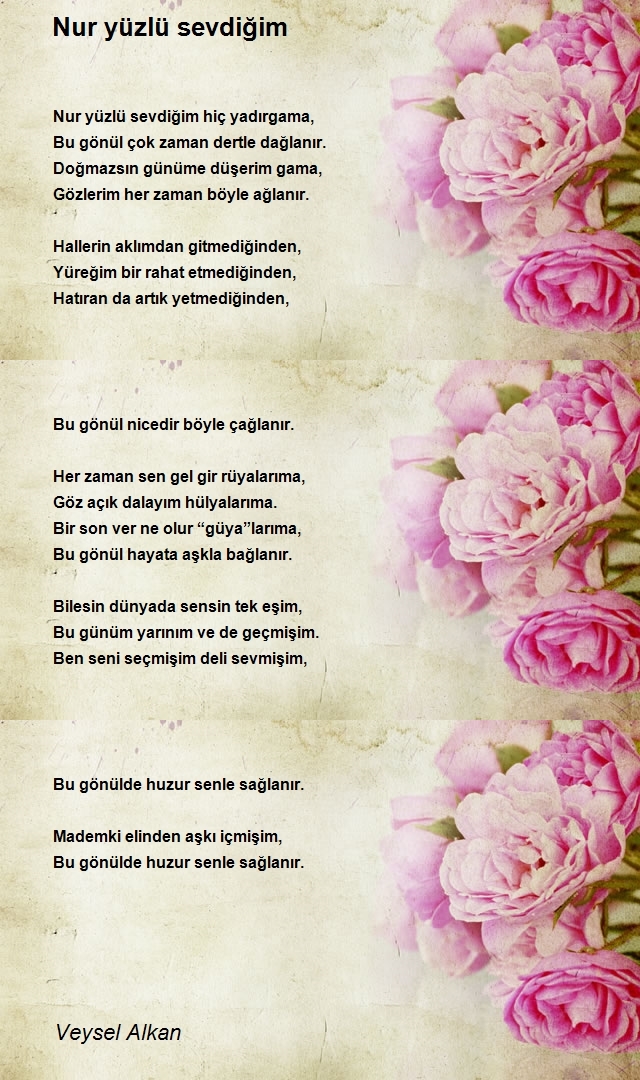 Veysel Alkan