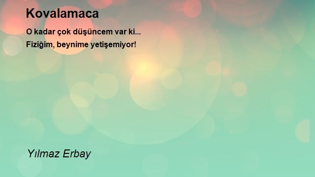 Yılmaz Erbay