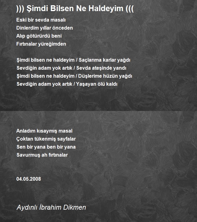 İbrahim Dikmen 2