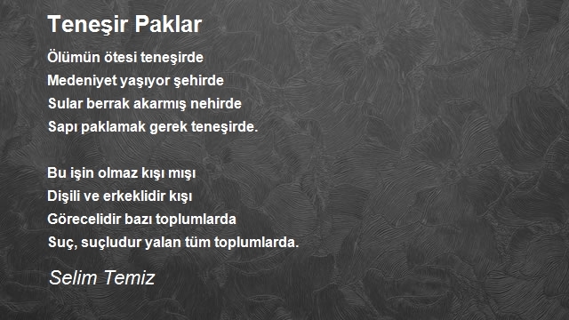 Selim Temiz