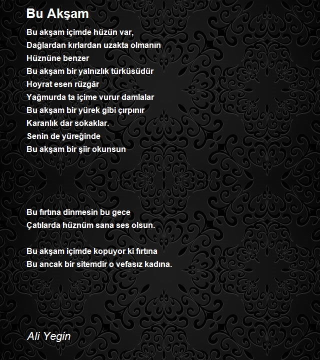 Ali Yegin