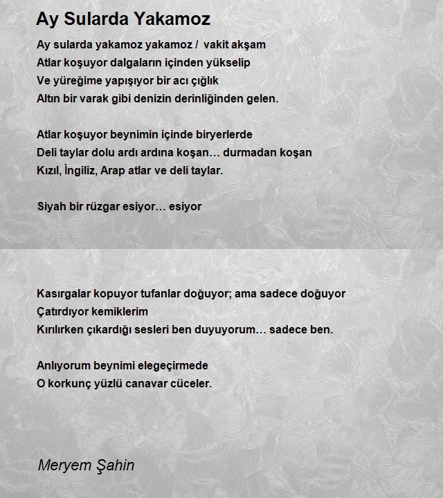 Meryem Şahin