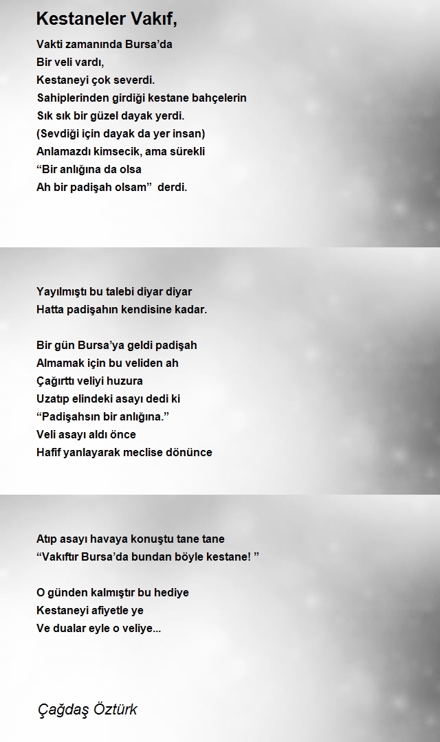 Çağdaş Öztürk