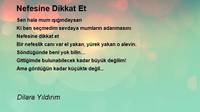 Dilara Yıldırım