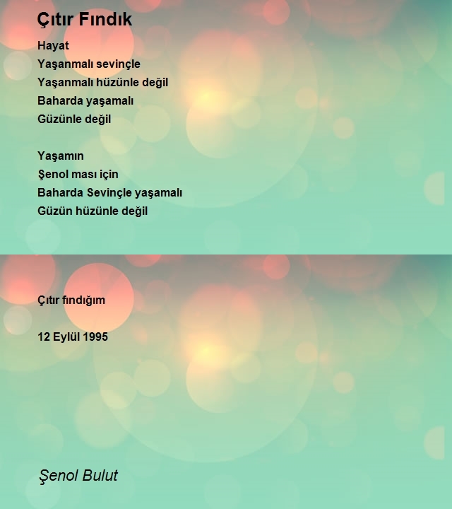 Şenol Bulut