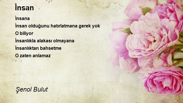 Şenol Bulut