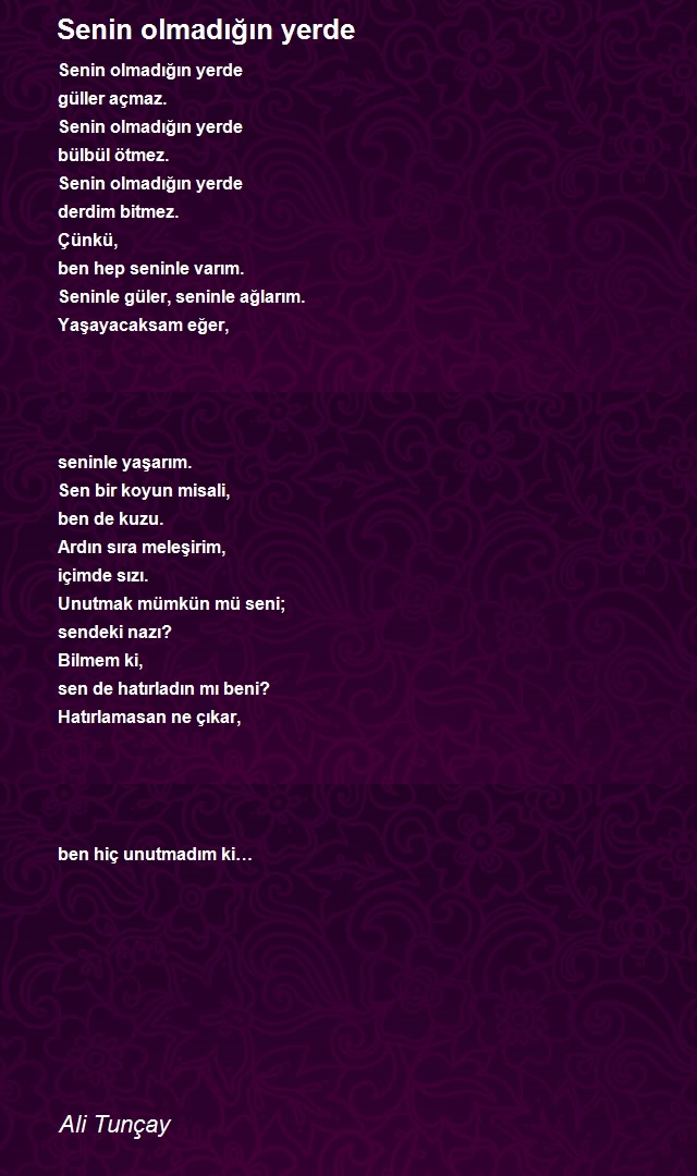Ali Tunçay