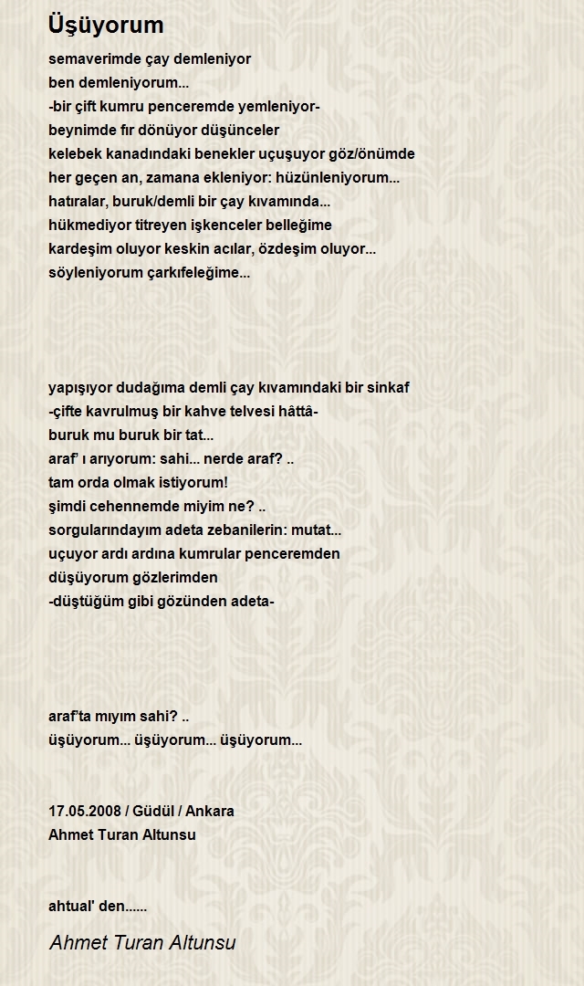 Ahmet Turan Altunsu