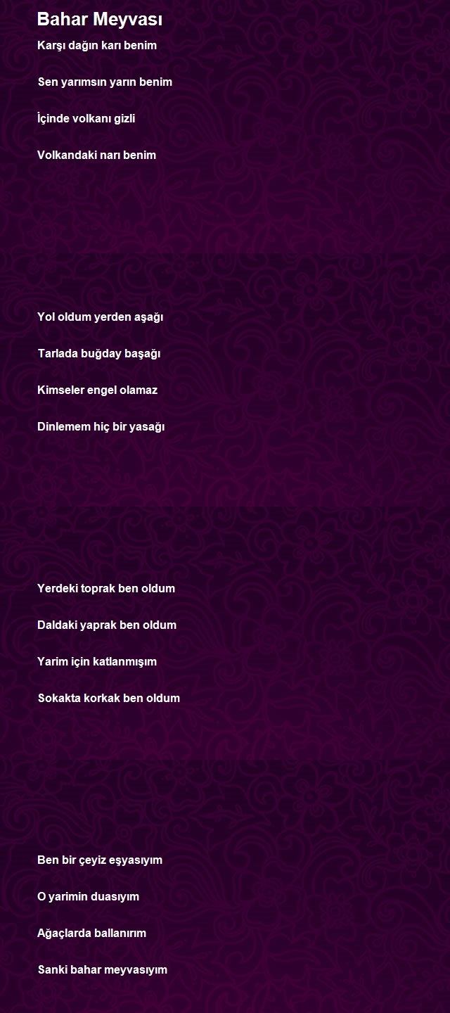 Sinan Karakaş