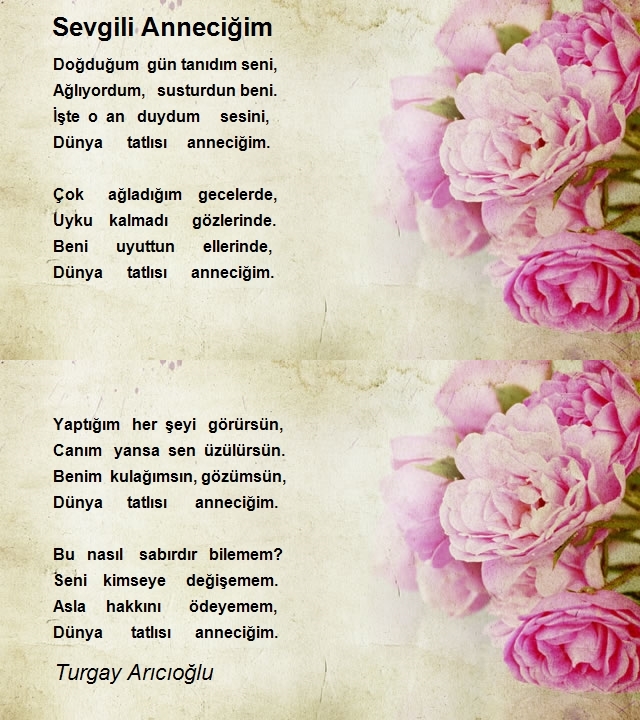 Turgay Arıcıoğlu