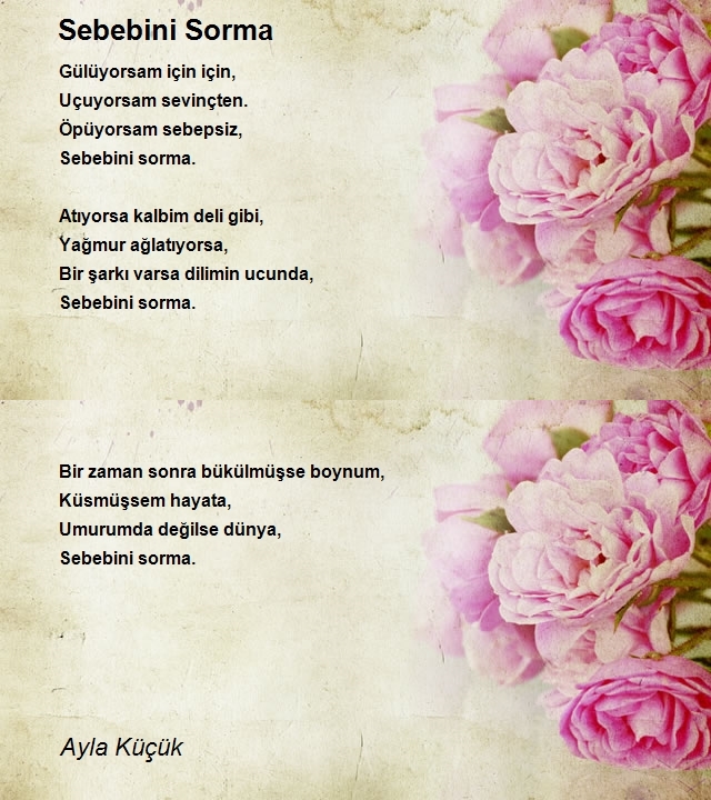 Ayla Küçük