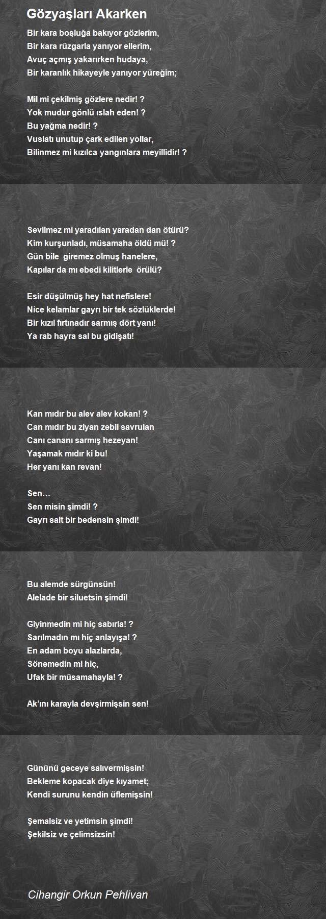Cihangir Orkun Pehlivan