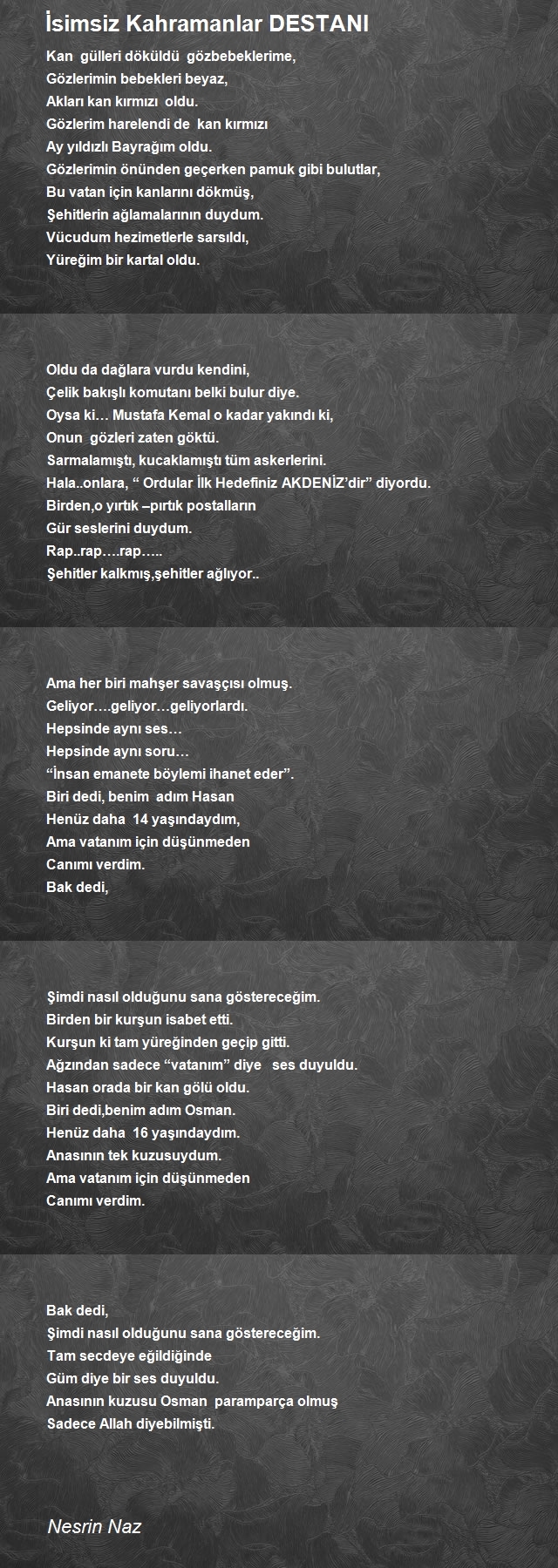 Nesrin Naz