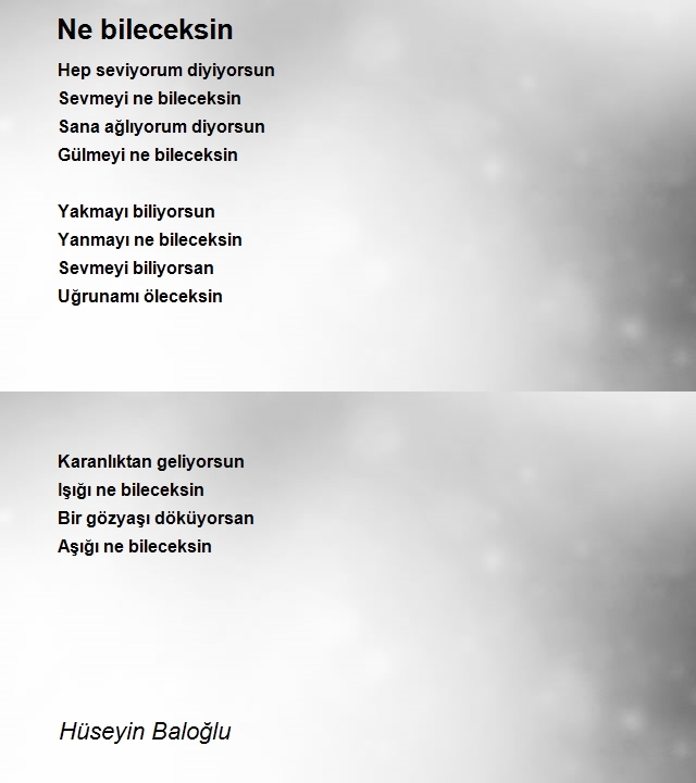 Hüseyin Baloğlu