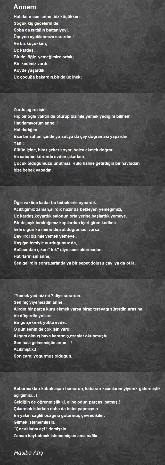 Hasibe Atış