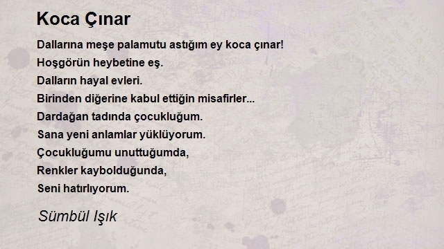 Sümbül Işık
