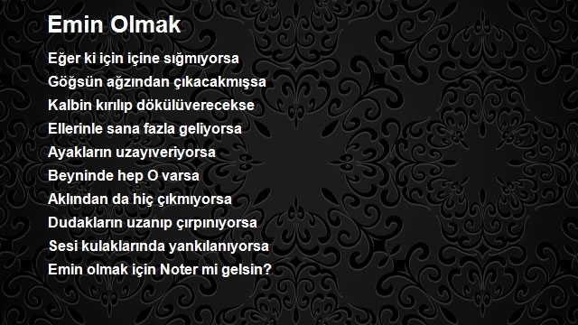 Mehmet Yalçın 2