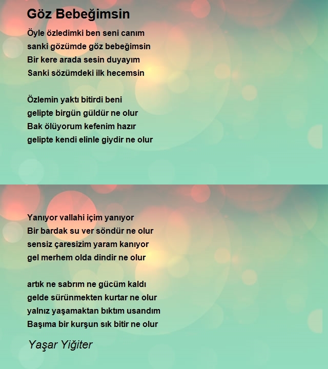 Yaşar Yiğiter