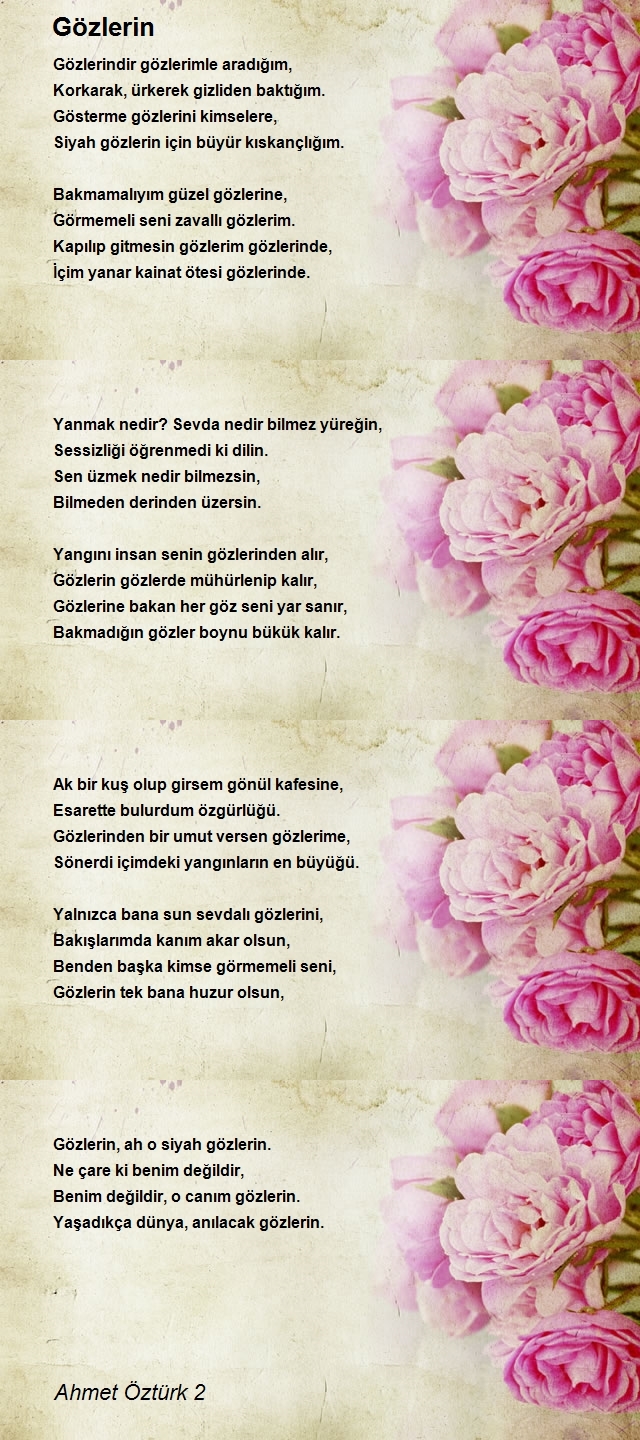 Ahmet Öztürk 2