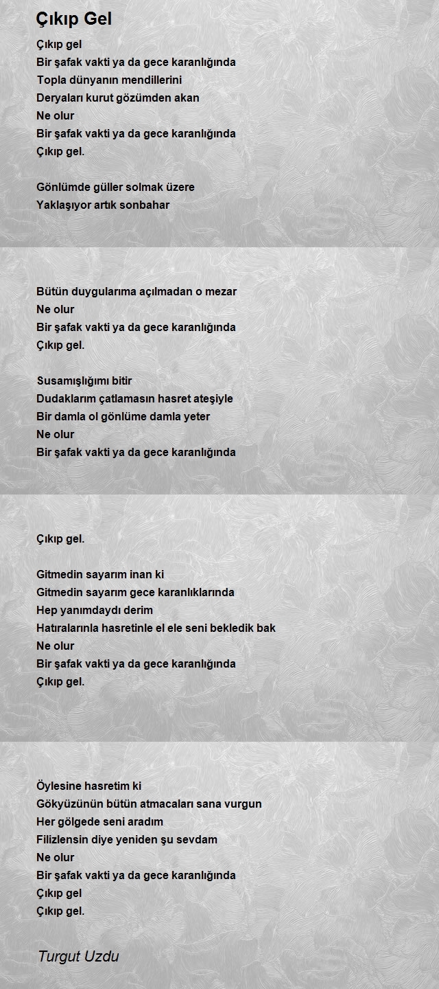 Turgut Uzdu