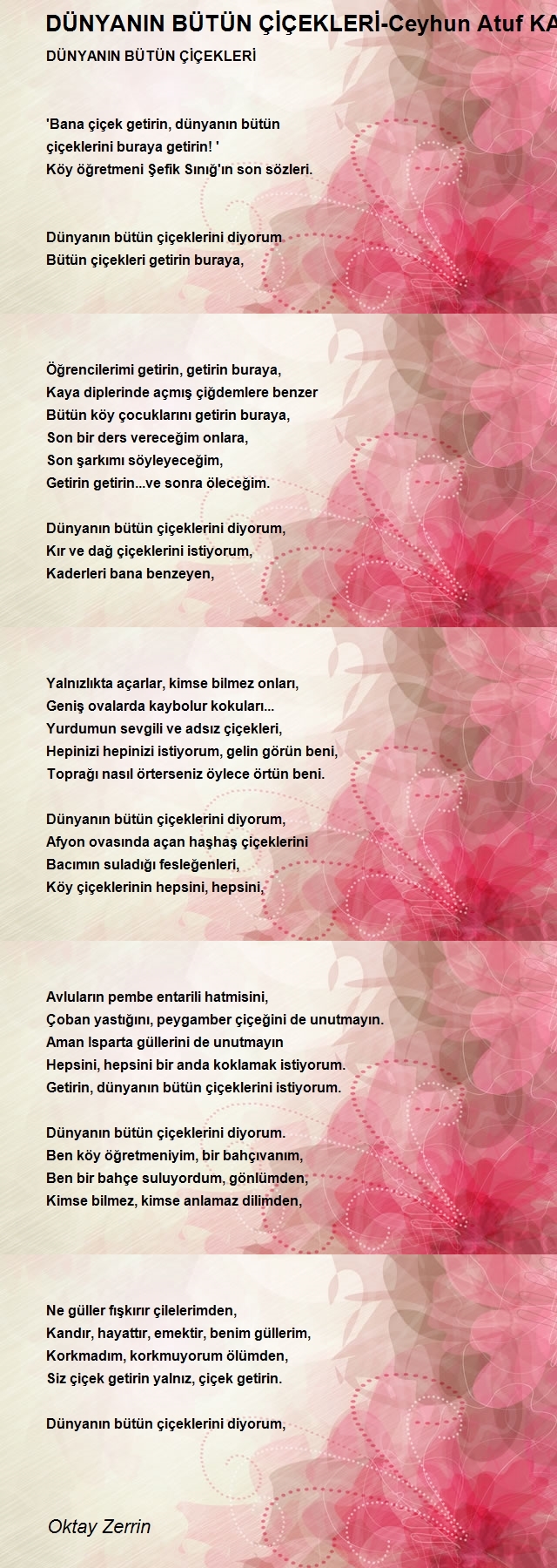 Oktay Zerrin