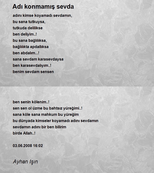 Ayhan Işın