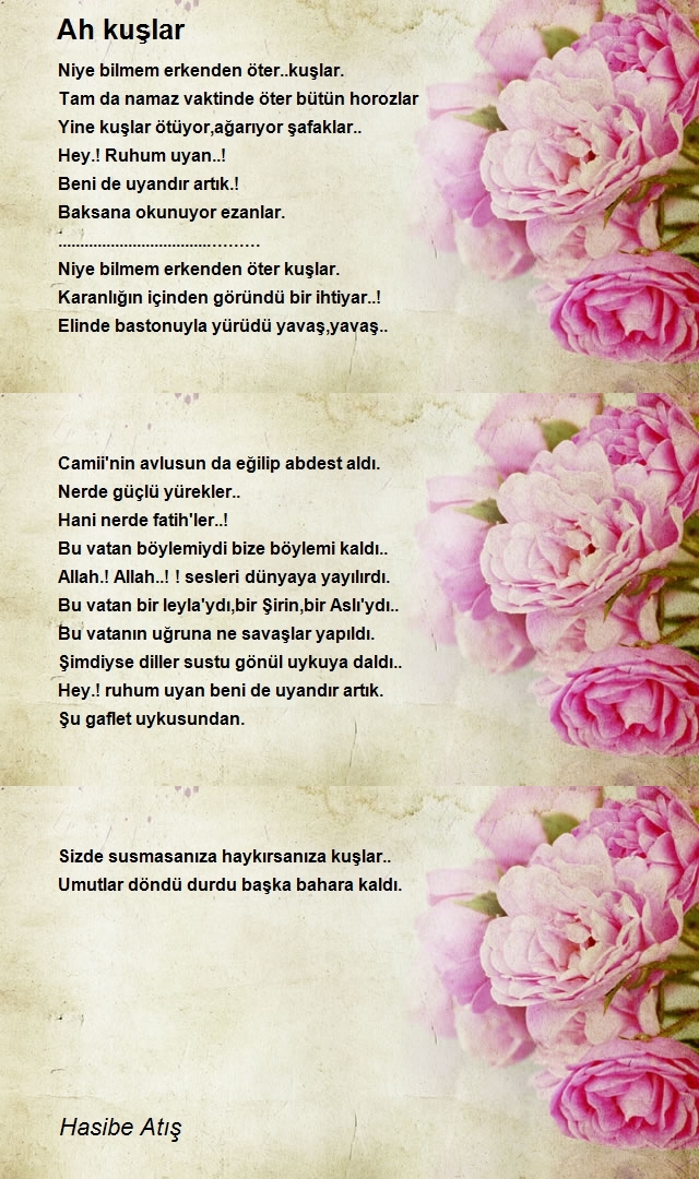 Hasibe Atış