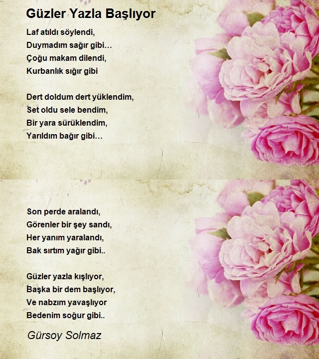 Gürsoy Solmaz